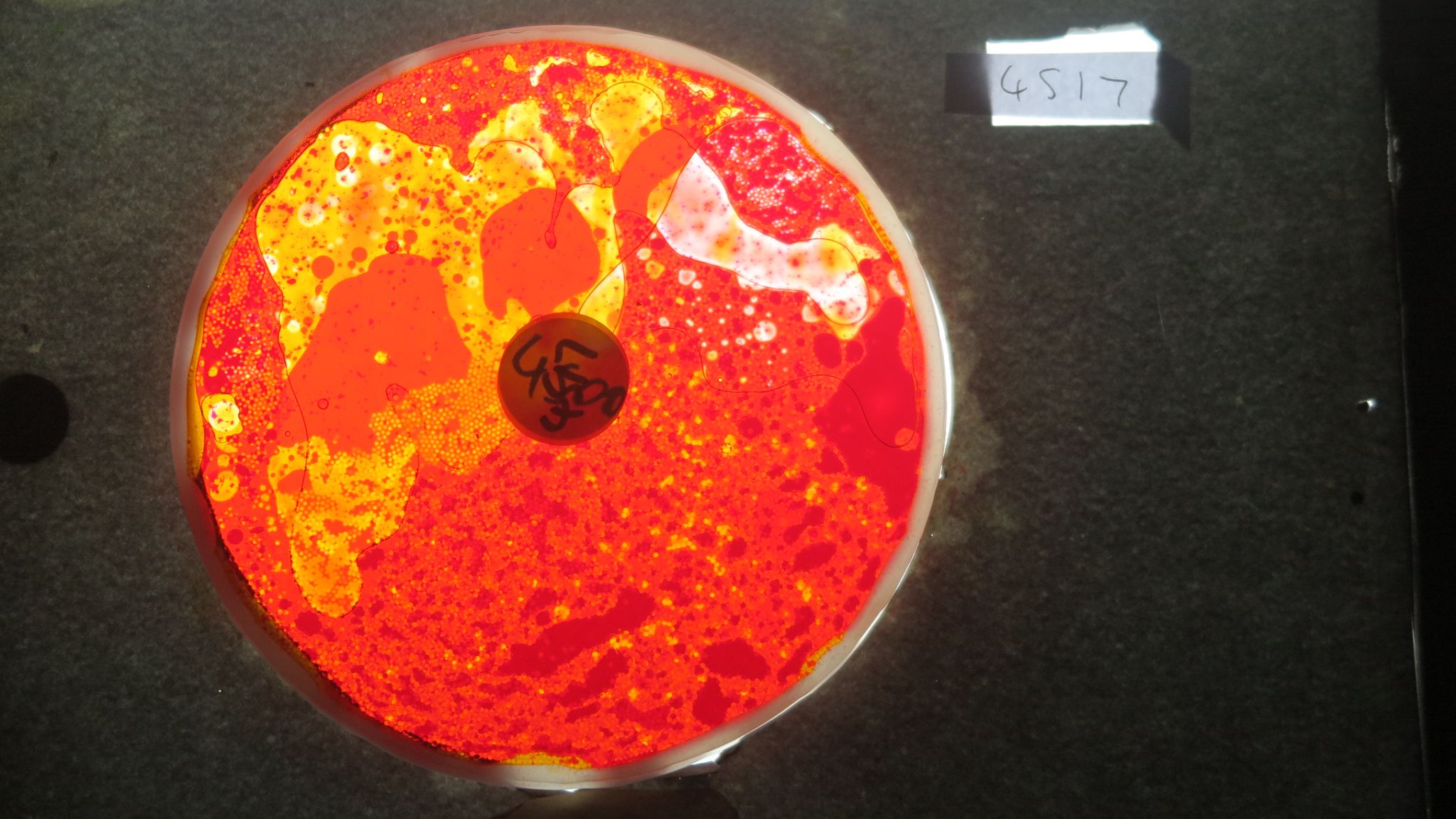 BV4517 bubble vision oil wheel